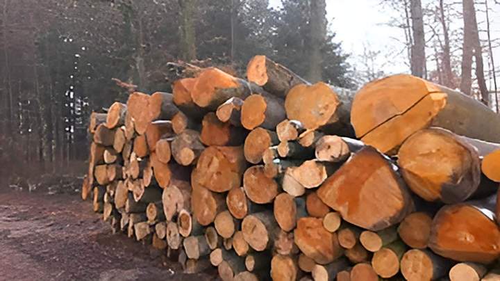 Grume de chauffage Gerbamont
