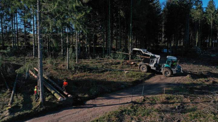 Exploitants plaquettes forestières Gerbamont