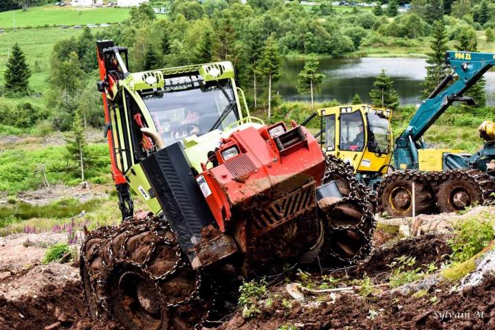 Travaux forestiers Gerbamont