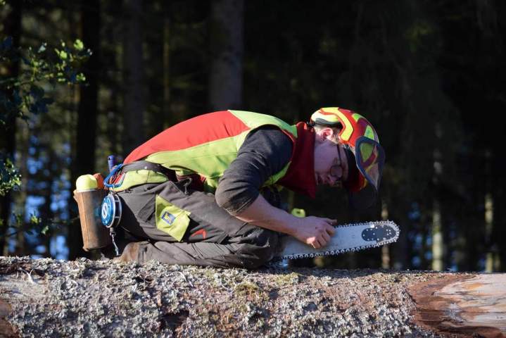 Travaux de bucheronnage Gerbamont