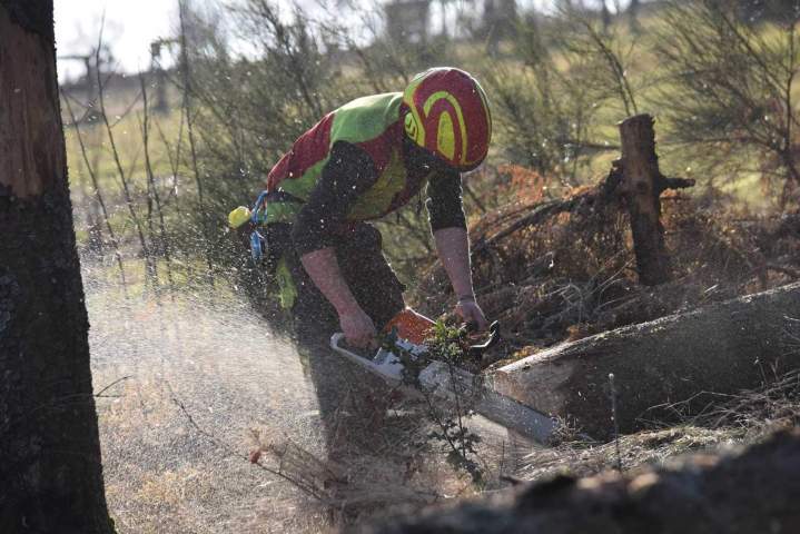 Travaux de bucheronnage Gerbamont