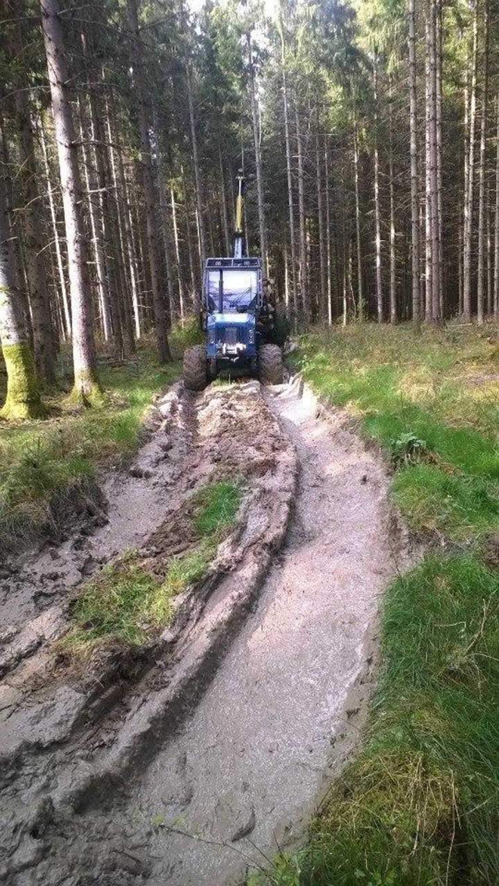 Service de débardage forêt Gerbamont