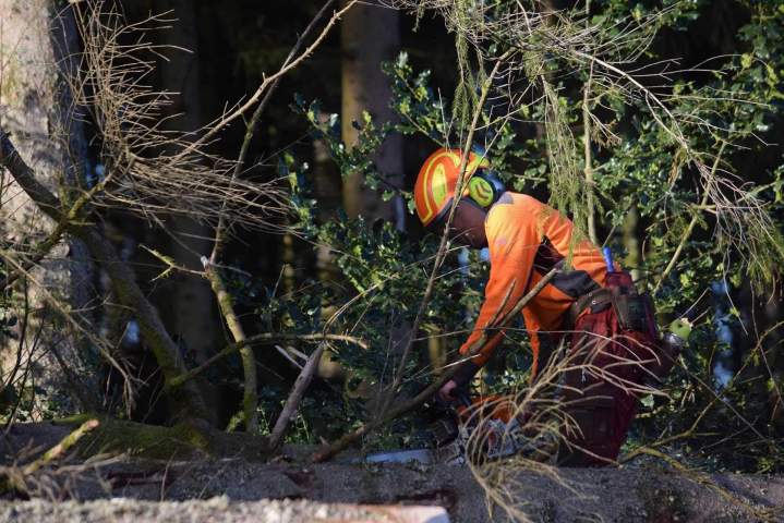 Travaux de bucheronnage Gerbamont