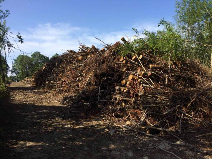 Broyage forestier Gerbamont