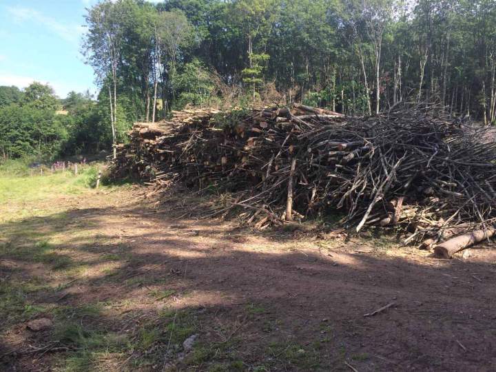 Broyage de bois pour chauffage Gerbamont