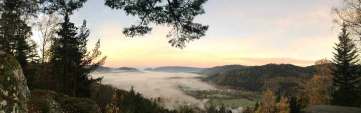 Coupe d'arbres Gerbamont