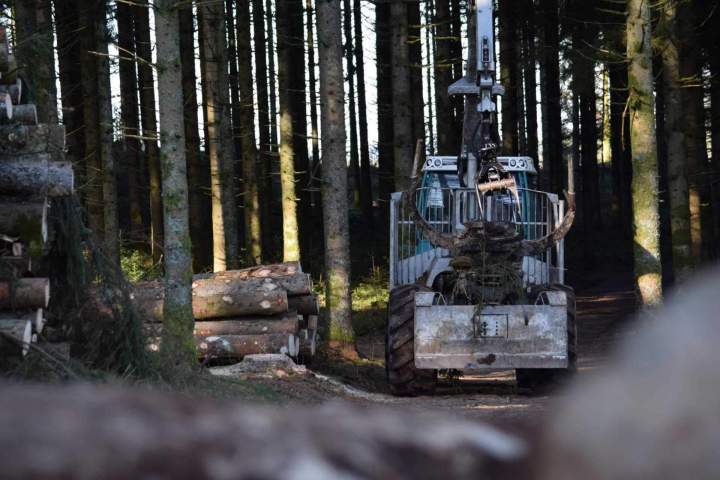 Découpe bois Gerbamont