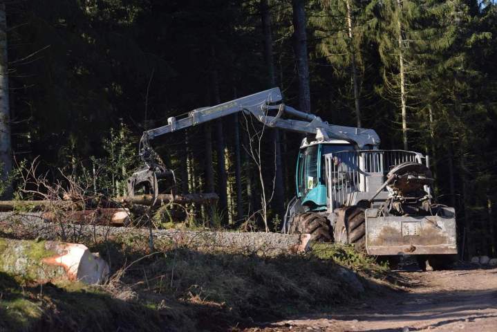 Exploitation forestière Gerbamont