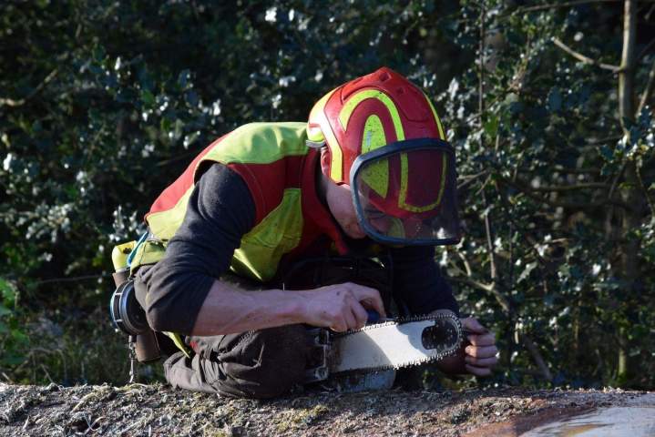 Plaquette forestière Épinal