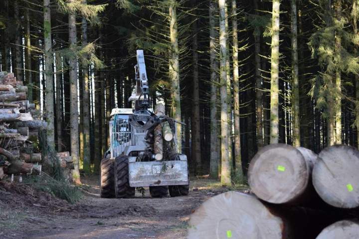 Gestion de forêt Gerbamont